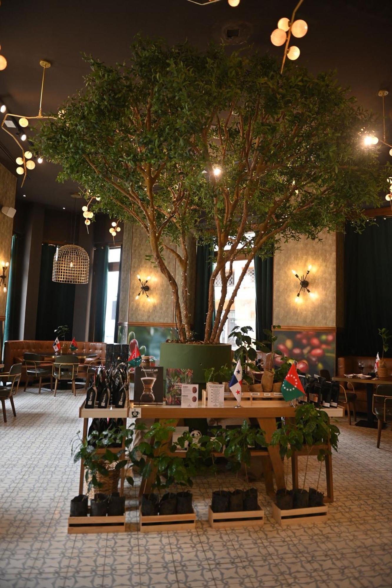 La Concordia - Boutique Hotel 파나마시티 외부 사진